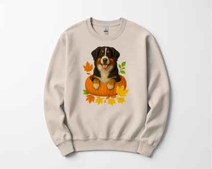 Bernese Mountain Dog Pumpkin Shirt