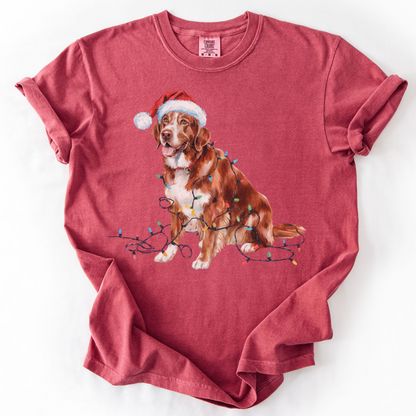 Christmas Nova Scotia Duck Tolling Retriever Shirt, Christmas Lights Dog Tee, Christmas Dog Tee, Retriever Mom Tshirt, Gift for Dog Lover