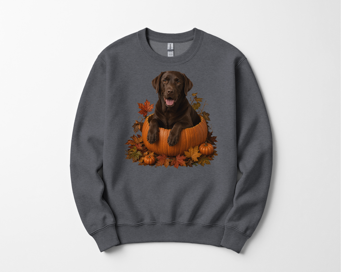 Chocolate Lab Pumpkin Sweatshirt Fall Dog Lover Autumn Labrador Cozy Crewneck Gift Pullover Apparel