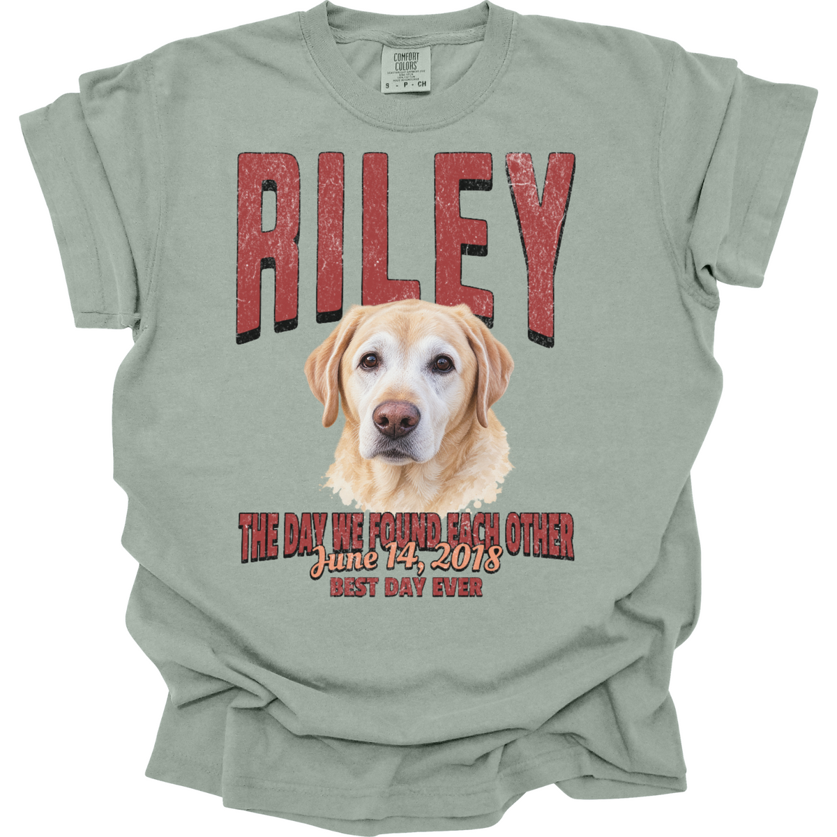 Personalized Gotcha Day Shirt, Dog Adoption Anniversary