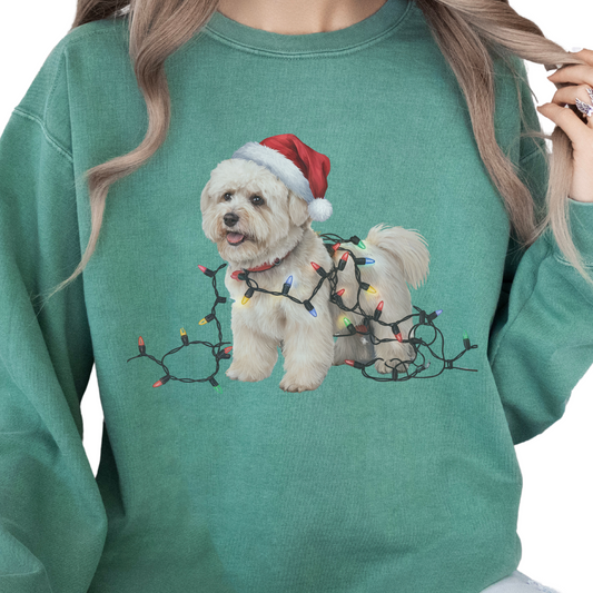 Christmas Bichon Frise Sweatshirt, Holiday Lights Dog Sweater, Bichon Mom Gift