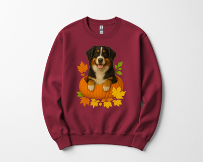Bernese Mountain Dog Pumpkin Shirt