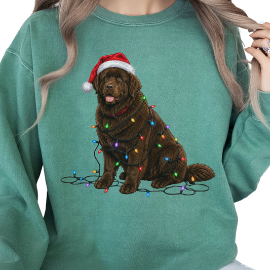 Chocolate Newfoundland Christmas Lights Dog Sweatshirt, Festive Newfie Mom Gift
