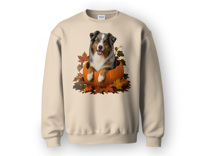 Australian Shepherd Pumpkin Sweatshirt Fall Dog Lover Autumn Puppy Crewneck Cozy Gift Pullover Apparel