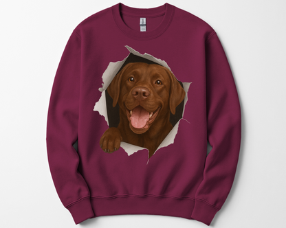 Peeking Chocolate Lab Sweatshirt – Funny Dog Lover Gift, Cute Labrador Crewneck for Pet Owners, Lab Mom & Dad Shirt