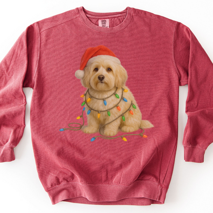 Havanese Christmas Lights Sweatshirt