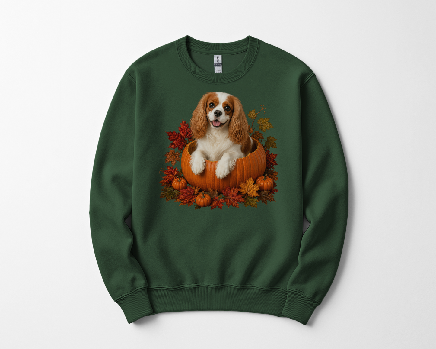 Blenheim Cavalier Pumpkin Sweatshirt Fall Dog Lover Autumn Puppy Crewneck Cozy Gift Pullover Apparel
