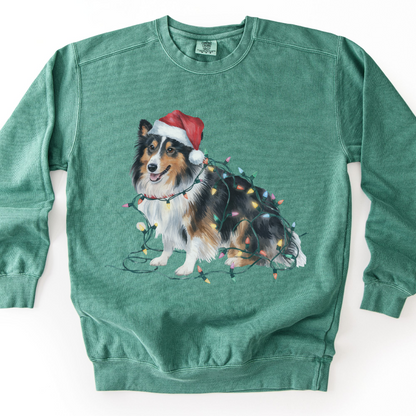 Christmas Shetland Sheepdog Sweatshirt, Lights Dog Sweater, Sheltie Mom Holiday Apparel