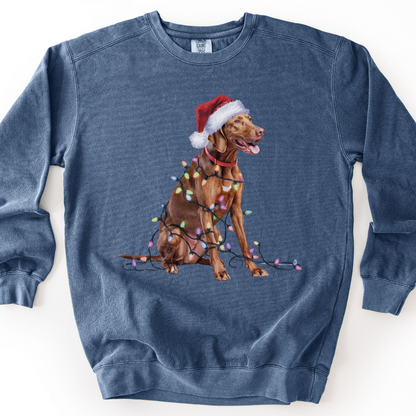 Christmas Vizsla Sweatshirt, Lights Dog Sweater, Vizsla Mom Apparel, Dog Lover Gift