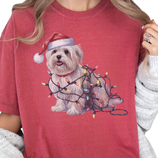 Maltese Christmas Lights Shirt, Festive Holiday Tee for Small Dog Lovers