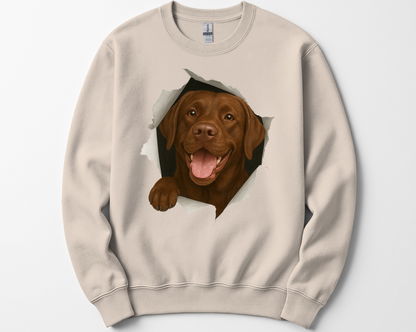 Peeking Chocolate Lab Sweatshirt – Funny Dog Lover Gift, Cute Labrador Crewneck for Pet Owners, Lab Mom & Dad Shirt
