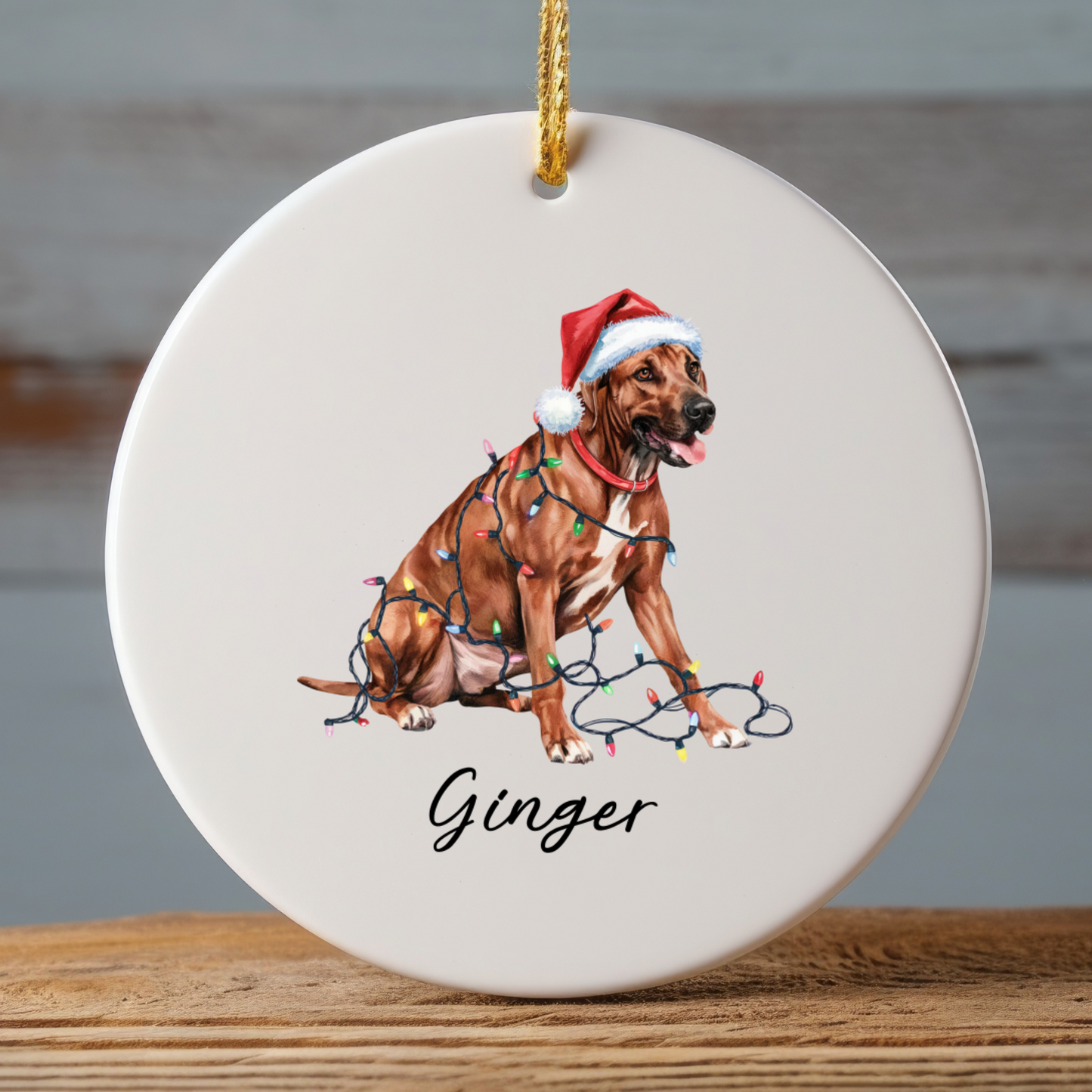 Rhodesian Ridgeback Ornament, Custom Dog Lover Holiday Gift