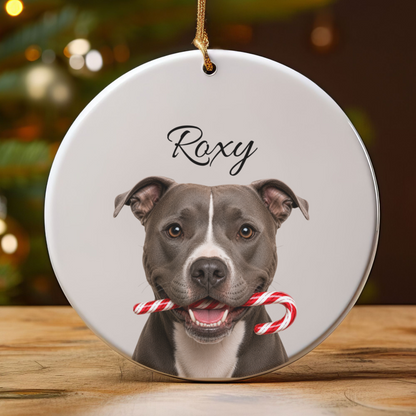 Personalized Pitbull Candy Cane Ornament