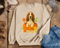 Load image into Gallery viewer, Basset Hound in Pumpkin Fall Shirt/Sweatshirt
