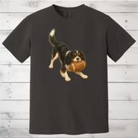 Load image into Gallery viewer, Cavalier King Charles Spaniel Football Sweatshirt – Blenheim, Ruby or Tri-Color Dog Lover Gift

