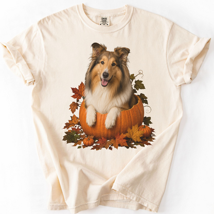 Collie in Pumpkin Fall Shirt, Cute Autumn Dog Tee for Rough Collie Lovers