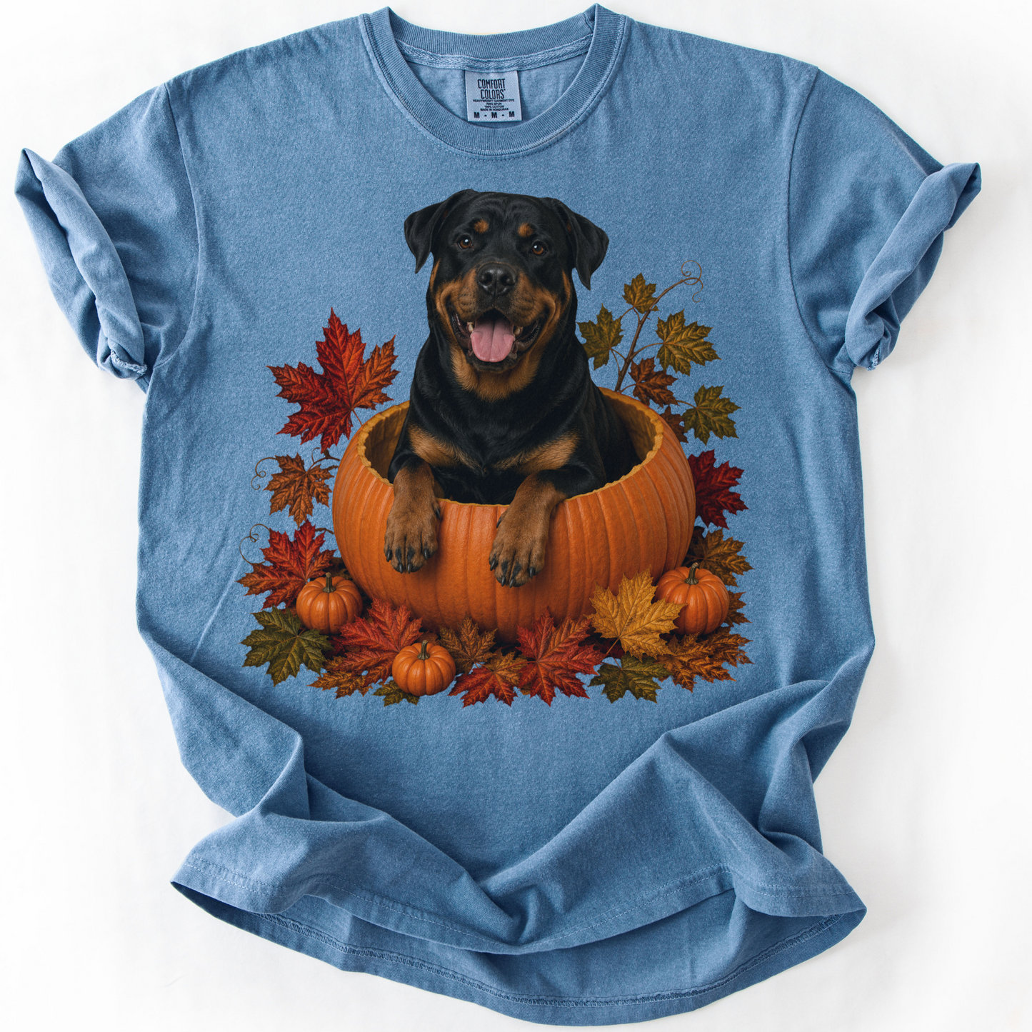 Rottweiler Pumpkin Fall T-Shirt, Cute Autumn Dog Lover Tee & Thanksgiving Gift