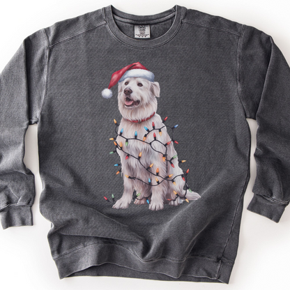 Kuvasz Christmas Lights Dog Sweatshirt