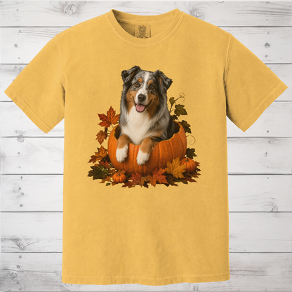 Australian Shepherd Pumpkin Shirt