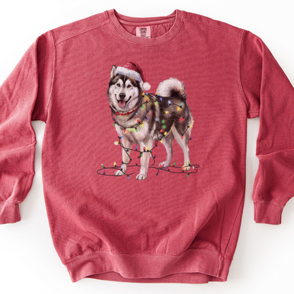 Alaskan Malamute Christmas Lights Dog Sweatshirt, Malamute Mom Gift