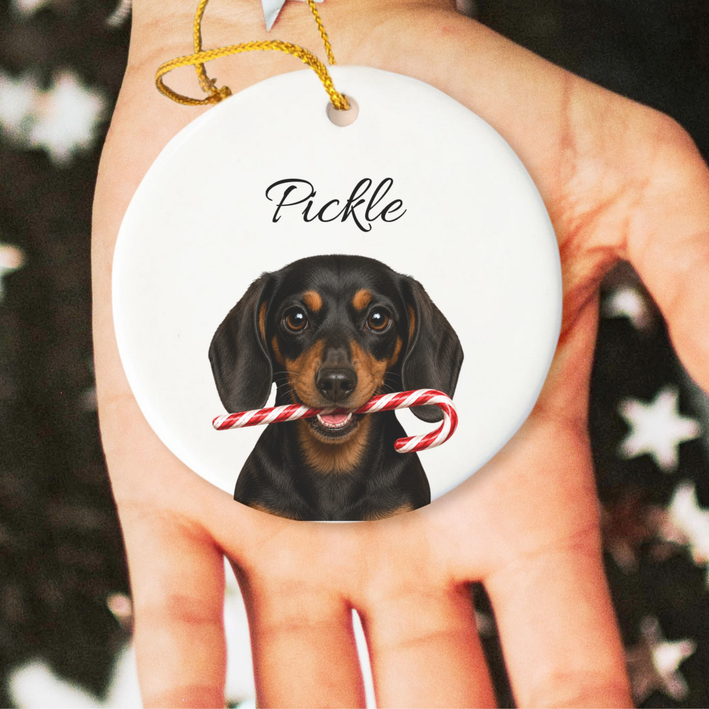 Personalized Black and Tan Dachshund Candy Cane Ornament
