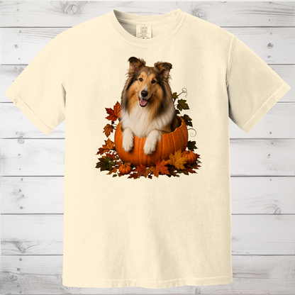 Collie Pumpkin Shirt