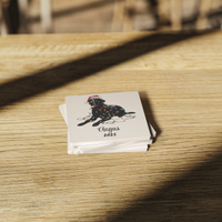 Load image into Gallery viewer, Black Lab Dog Coasters, Absorbent Stone Coaster Set, Christmas Gift for Dog Lovers, Personalized Table Protection, Cork Back
