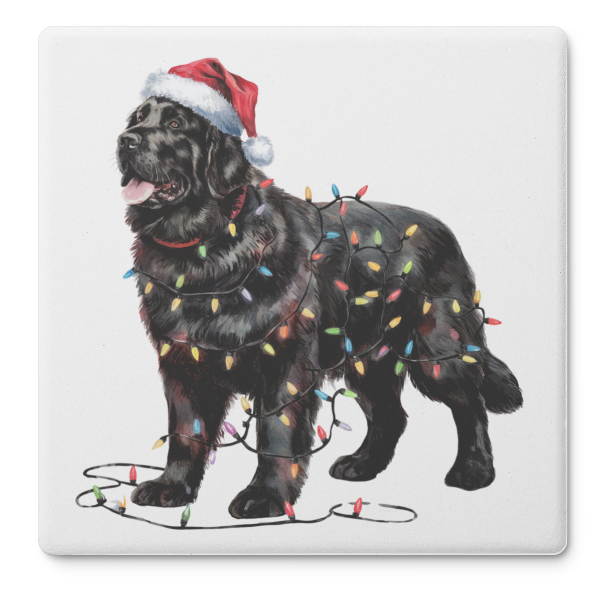 Black Newfoundland Christmas lights Dog Coasters