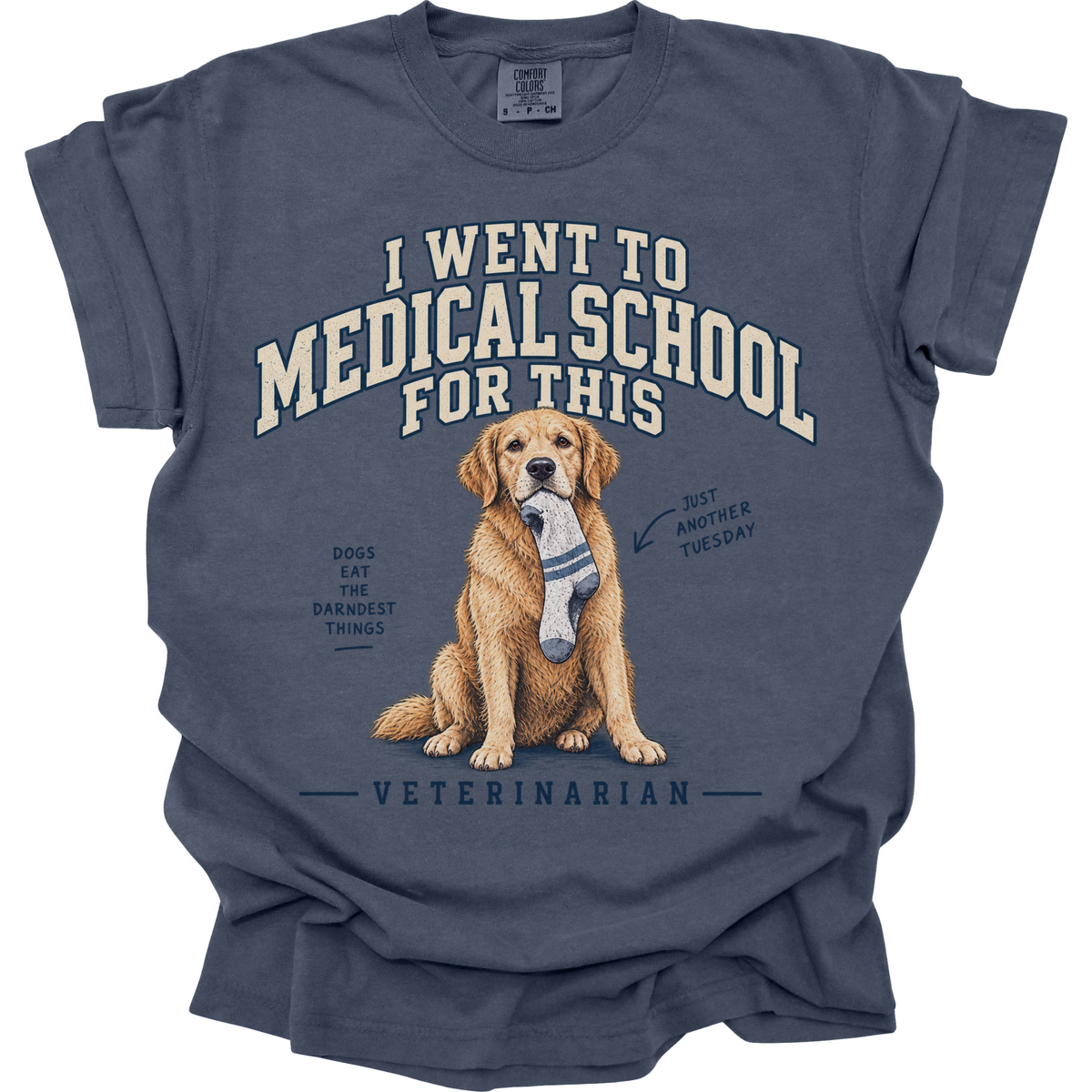 Funny Veterinarian Shirt, Vet Gift, Veterinary Medicine Tee, Dog Doctor Humor, Vet School Shirt