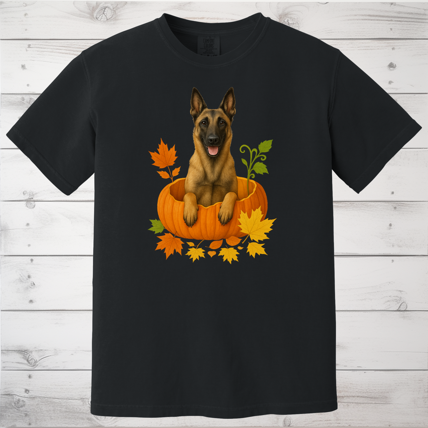 Belgian Malinois in Pumpkin Fall Shirt
