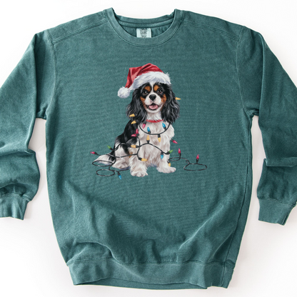 Tri-color Cavalier Christmas Lights Sweatshirt
