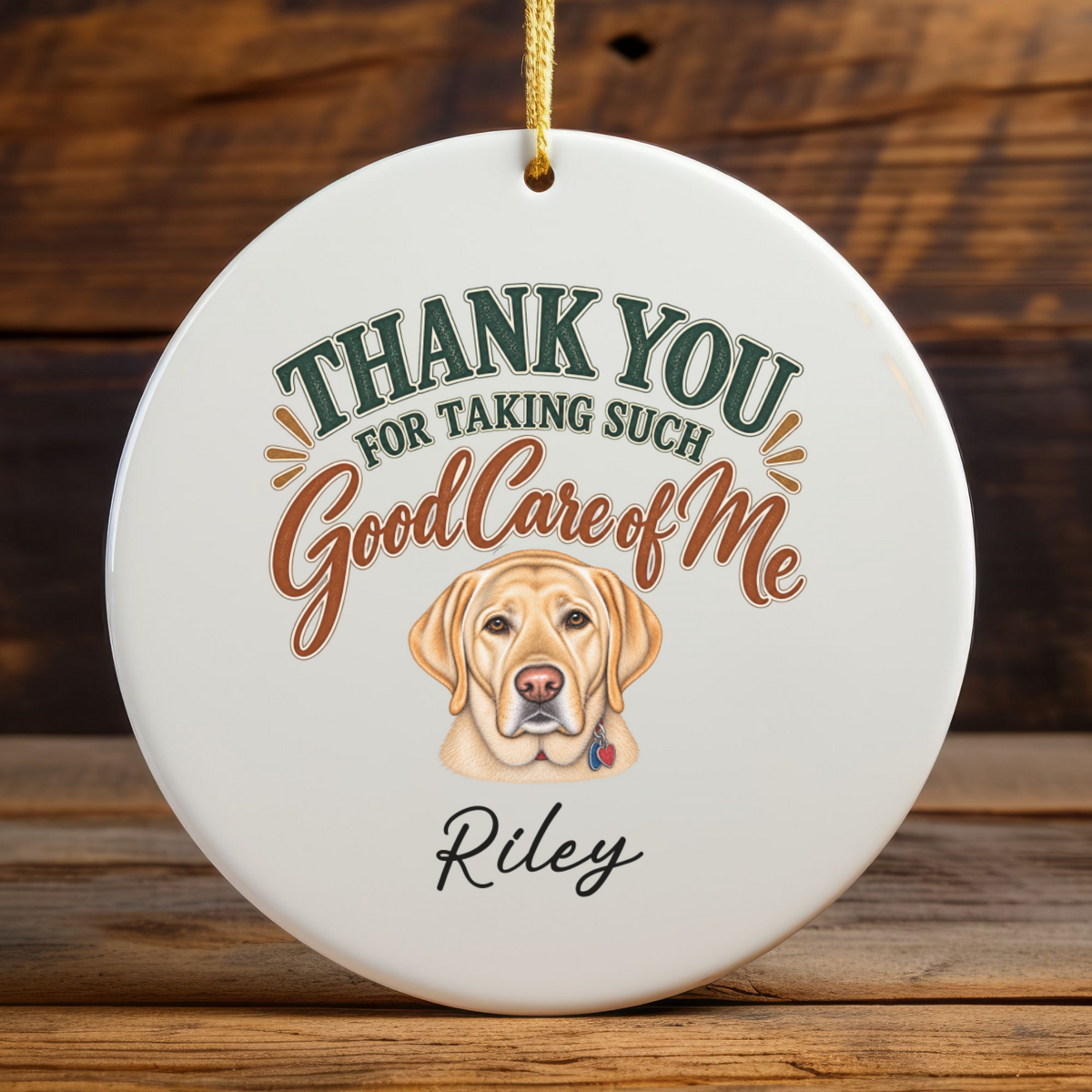 Personalized Veterinarian Ornament, Thank You Vet Gift From Dog, Custom Pet Name Keepsake