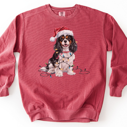 Tri-color Cavalier Christmas Lights Sweatshirt