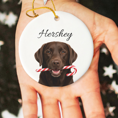 Personalized Chocolate Lab Candy Cane Ornament