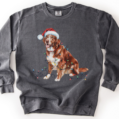 Nova Scotia Duck Tolling Retriever Christmas Sweatshirt, Festive Lights Dog Sweater