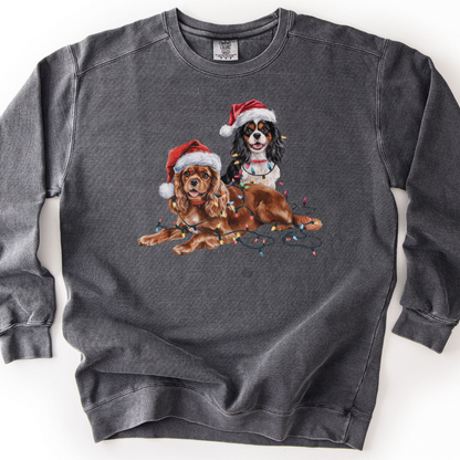 Cavalier King Charles Spaniels Christmas Lights Sweatshirt