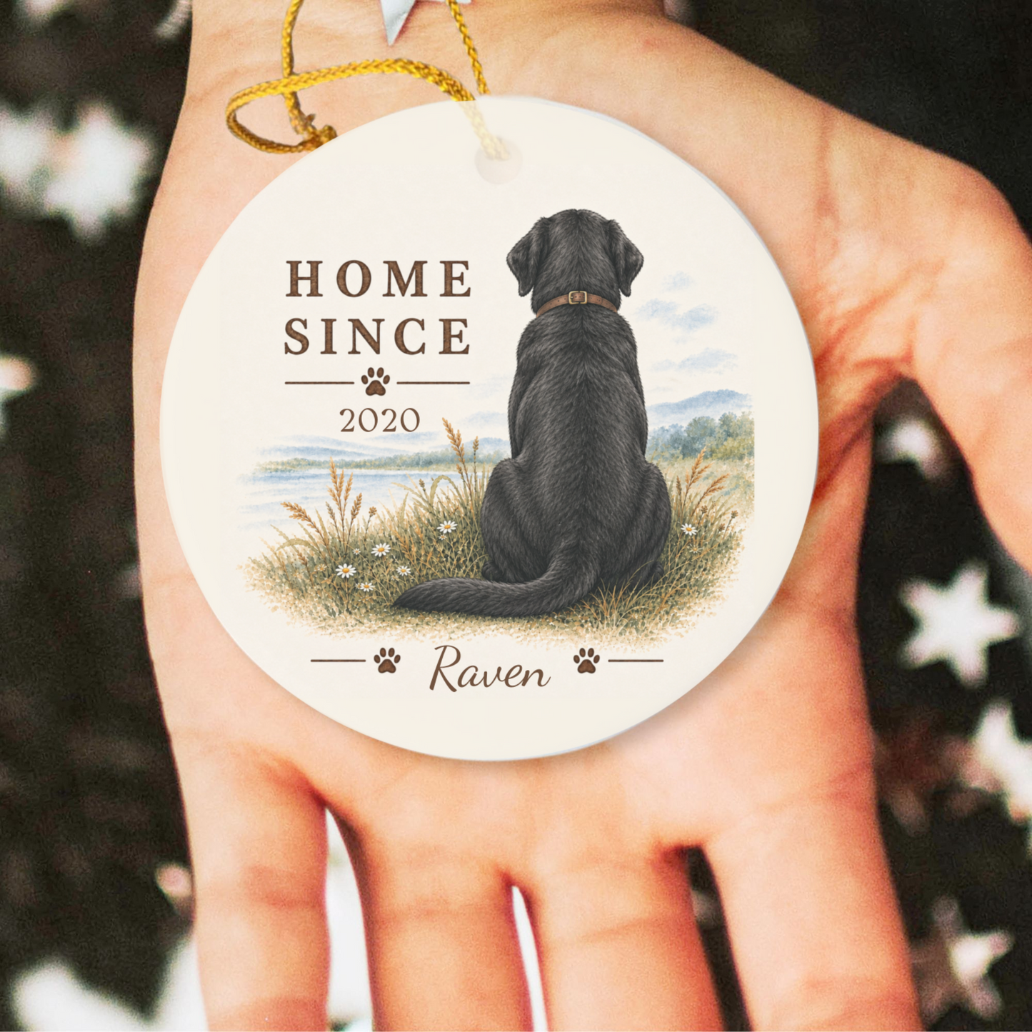 Personalized Black Lab Ornament, Double Sided Labrador Gotcha Day Gift, Custom Dog Keepsake