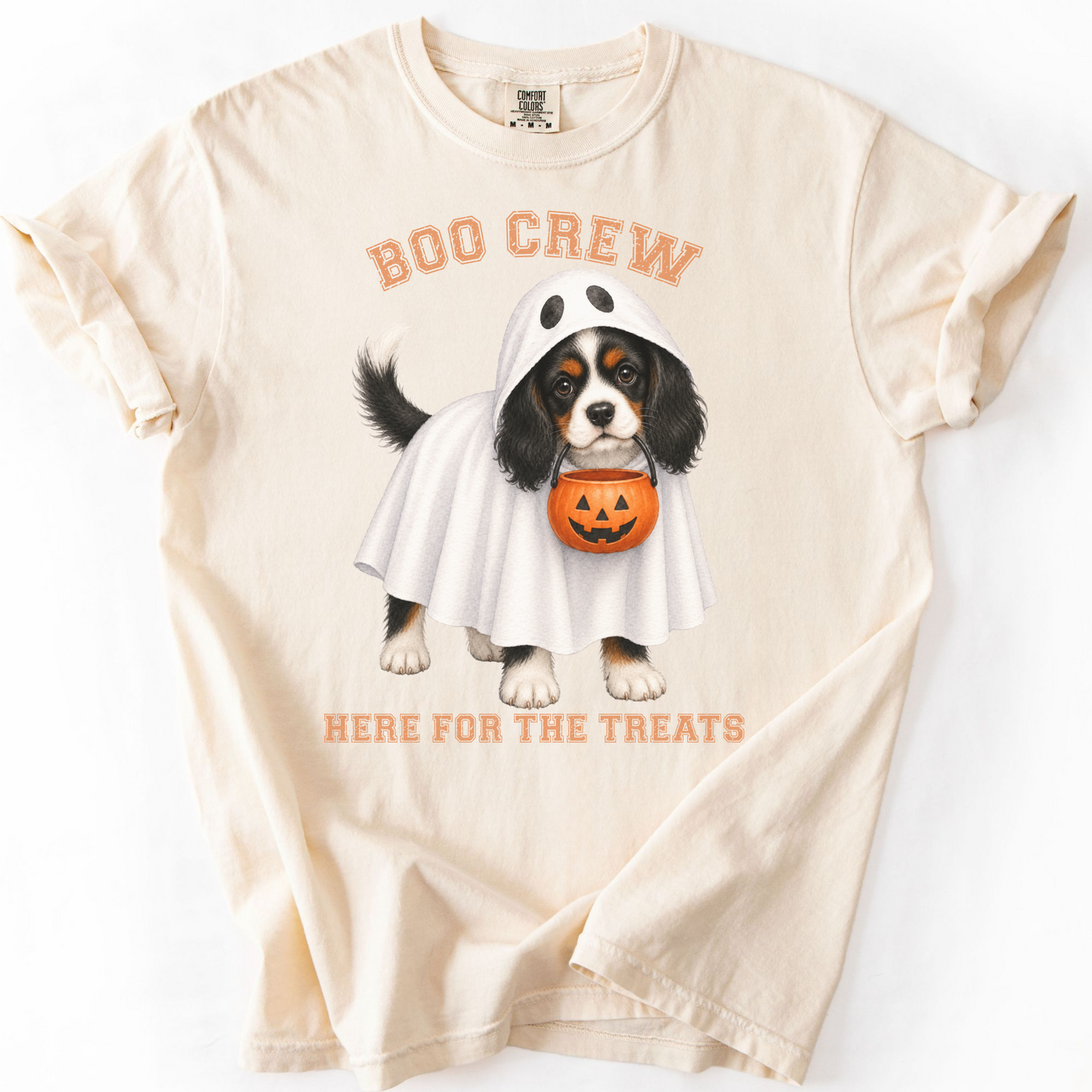 Tricolor Cavalier Boo Crew Halloween Shirt, Here for the Treats Dog Mom Tee