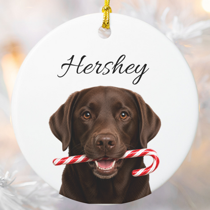 Personalized Chocolate Lab Candy Cane Ornament