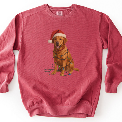 Fox Red Labrador Christmas Lights Sweatshirt