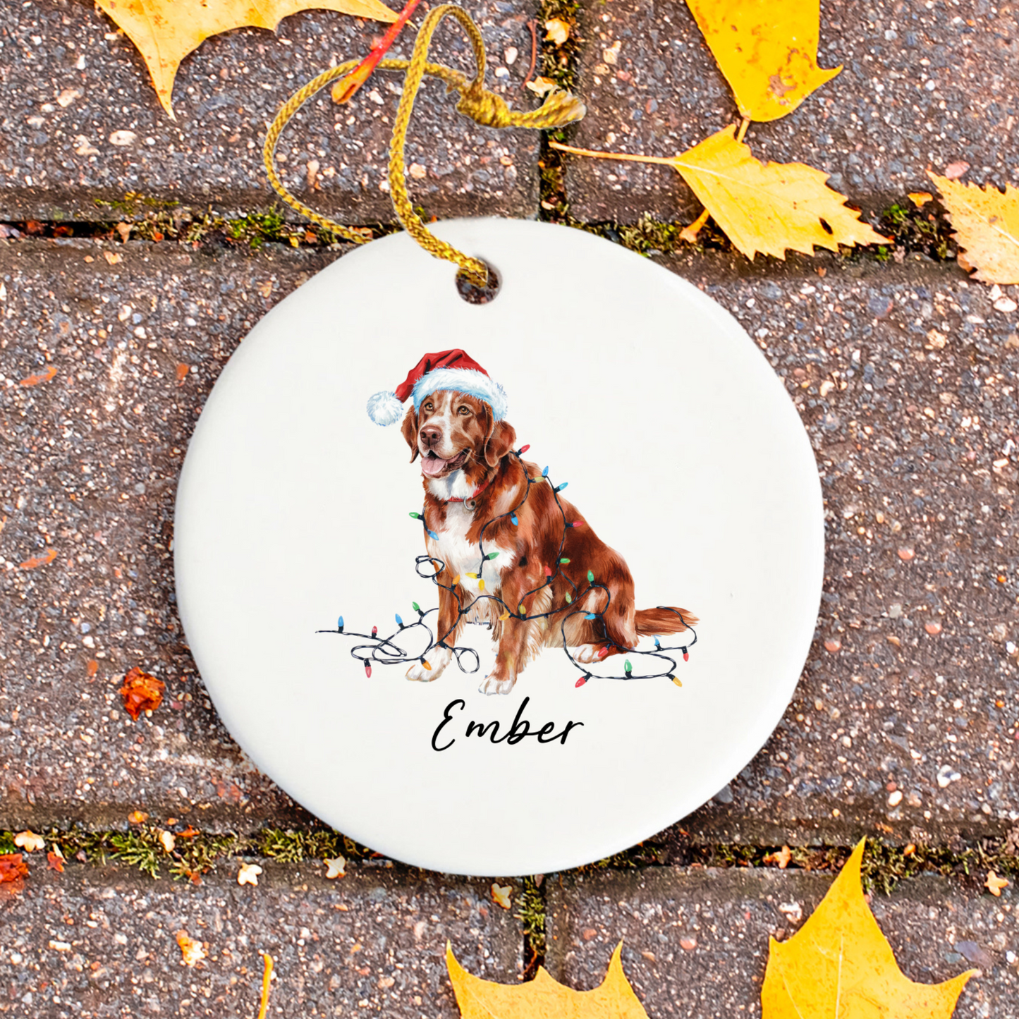 Nova Scotia Duck Tolling Retriever Ornament, Custom Dog Keepsake