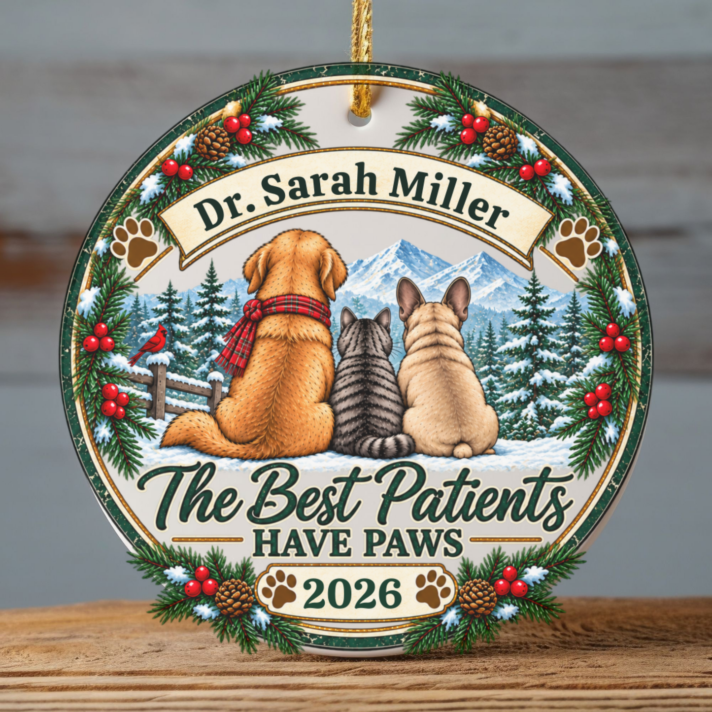 Personalized Veterinarian Ornament, Vet Christmas Gift, Best Vet Gift, Custom Pet Doctor Ornament