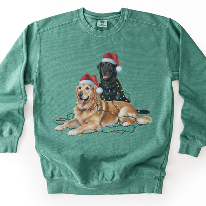 Black Lab and Golden Retriever Christmas Lights Sweatshirt