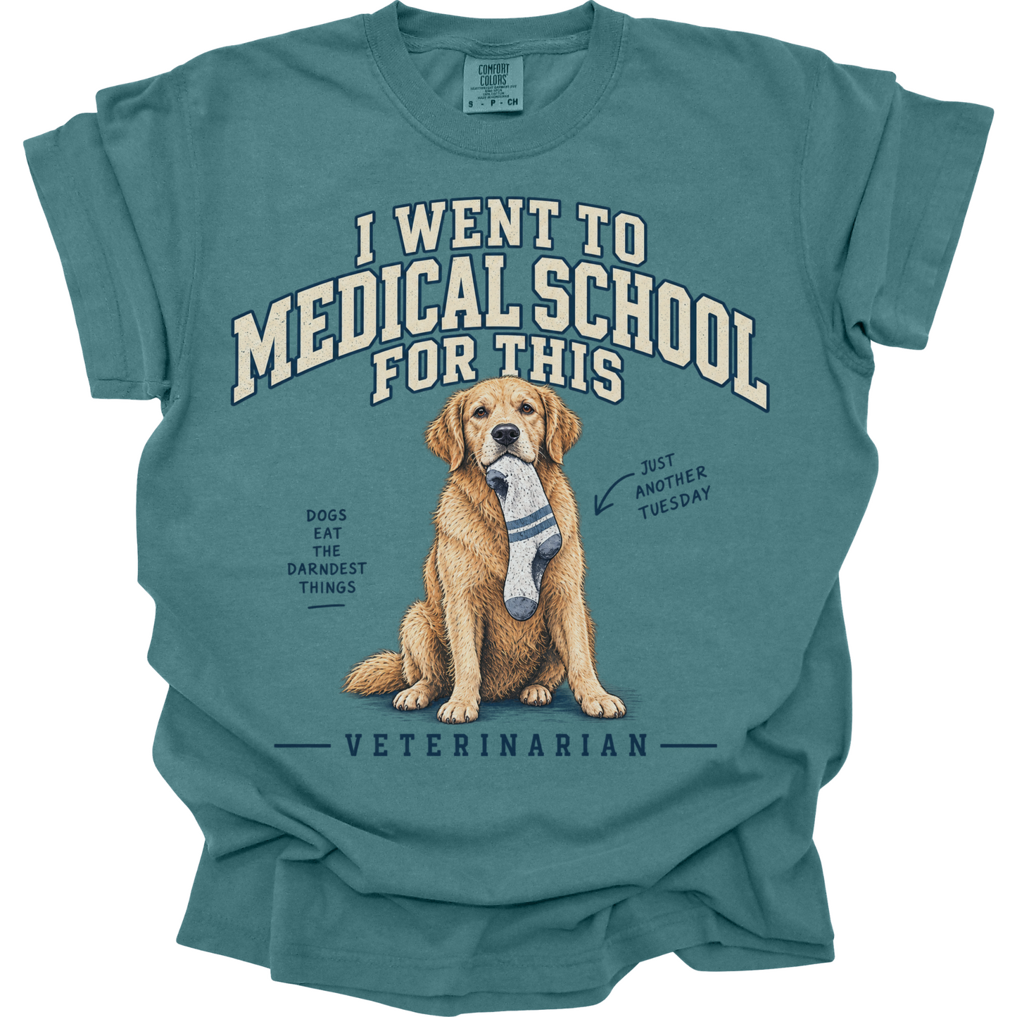 Funny Veterinarian Shirt, Vet Gift, Veterinary Medicine Tee, Dog Doctor Humor, Vet School Shirt