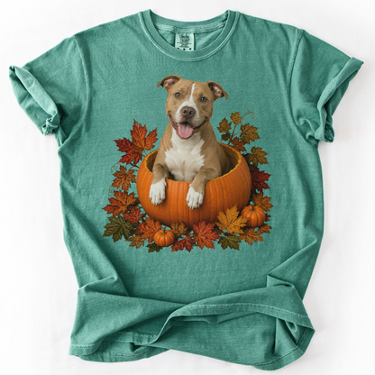 Pitbull Pumpkin Shirt Fall Dog Lover Autumn Comfort Colors Graphic Tee Cozy Gift Apparel