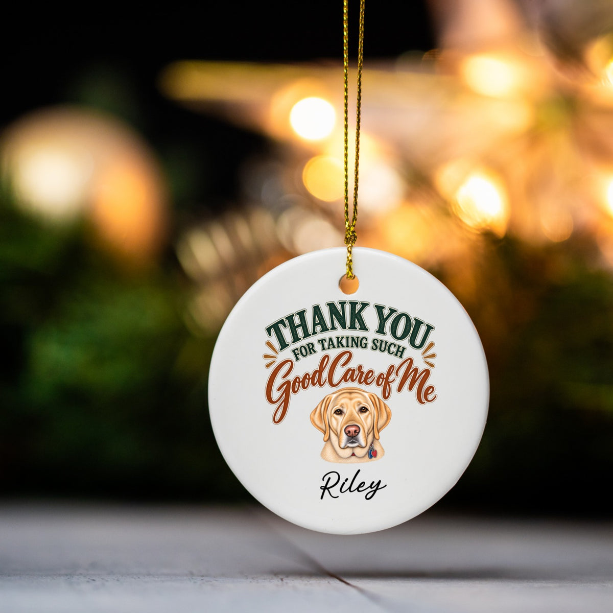 Personalized Veterinarian Ornament, Thank You Vet Gift From Dog, Custom Pet Name Keepsake