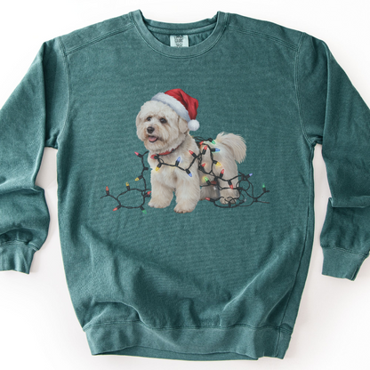 Christmas Bichon Frise Sweatshirt, Holiday Lights Dog Sweater, Bichon Mom Gift