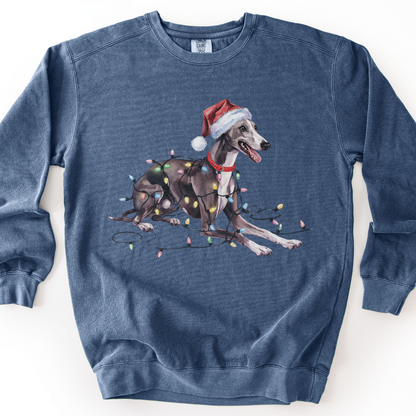 Greyhound Christmas Lights Sweatshirt