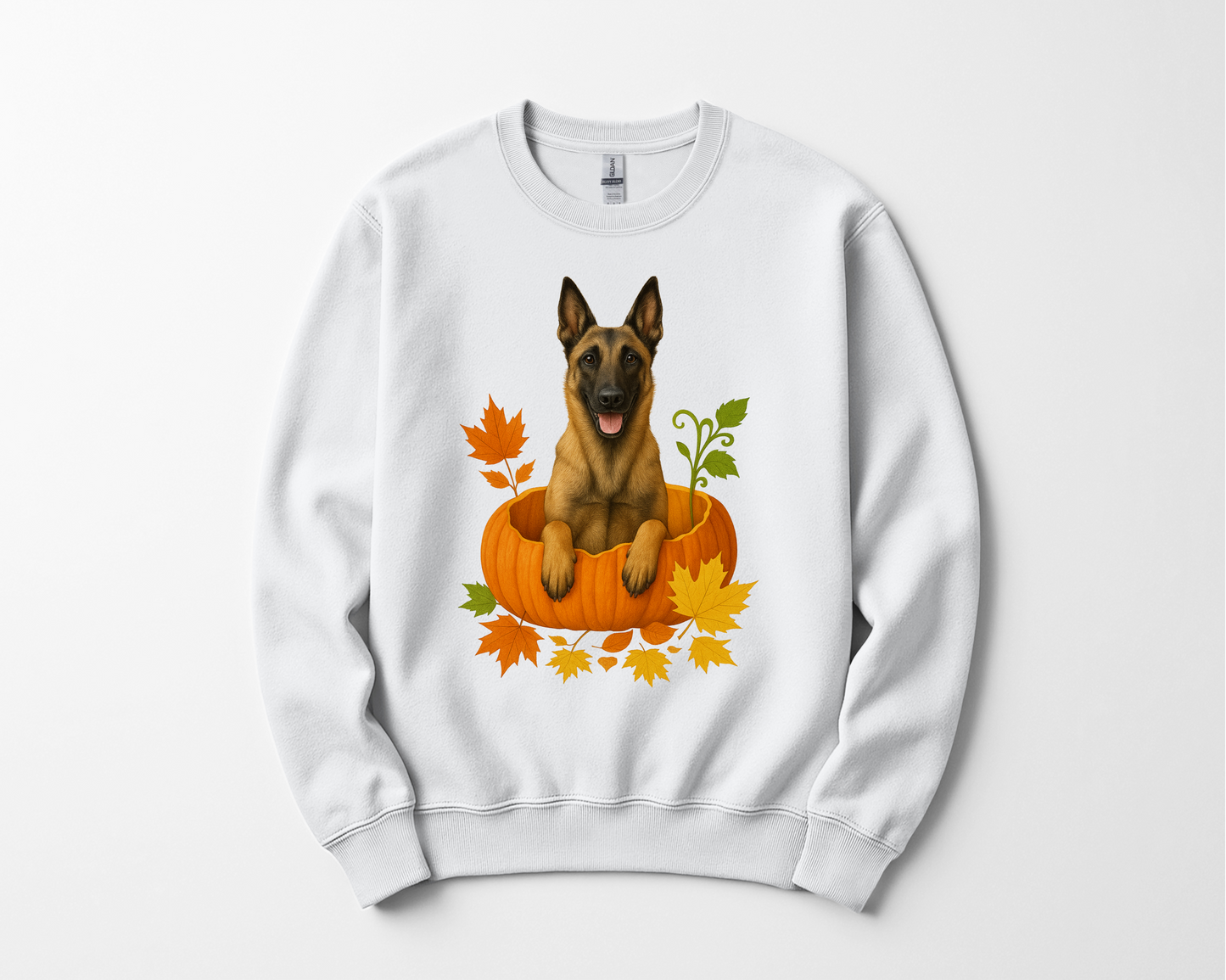 Belgian Malinois in Pumpkin Fall Shirt