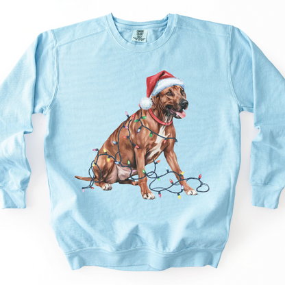 Rhodesian Ridgeback Christmas Lights Dog Sweatshirt, Festive Holiday Pet Lover Gift